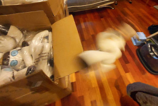 Peluche Martin le Fluffshie