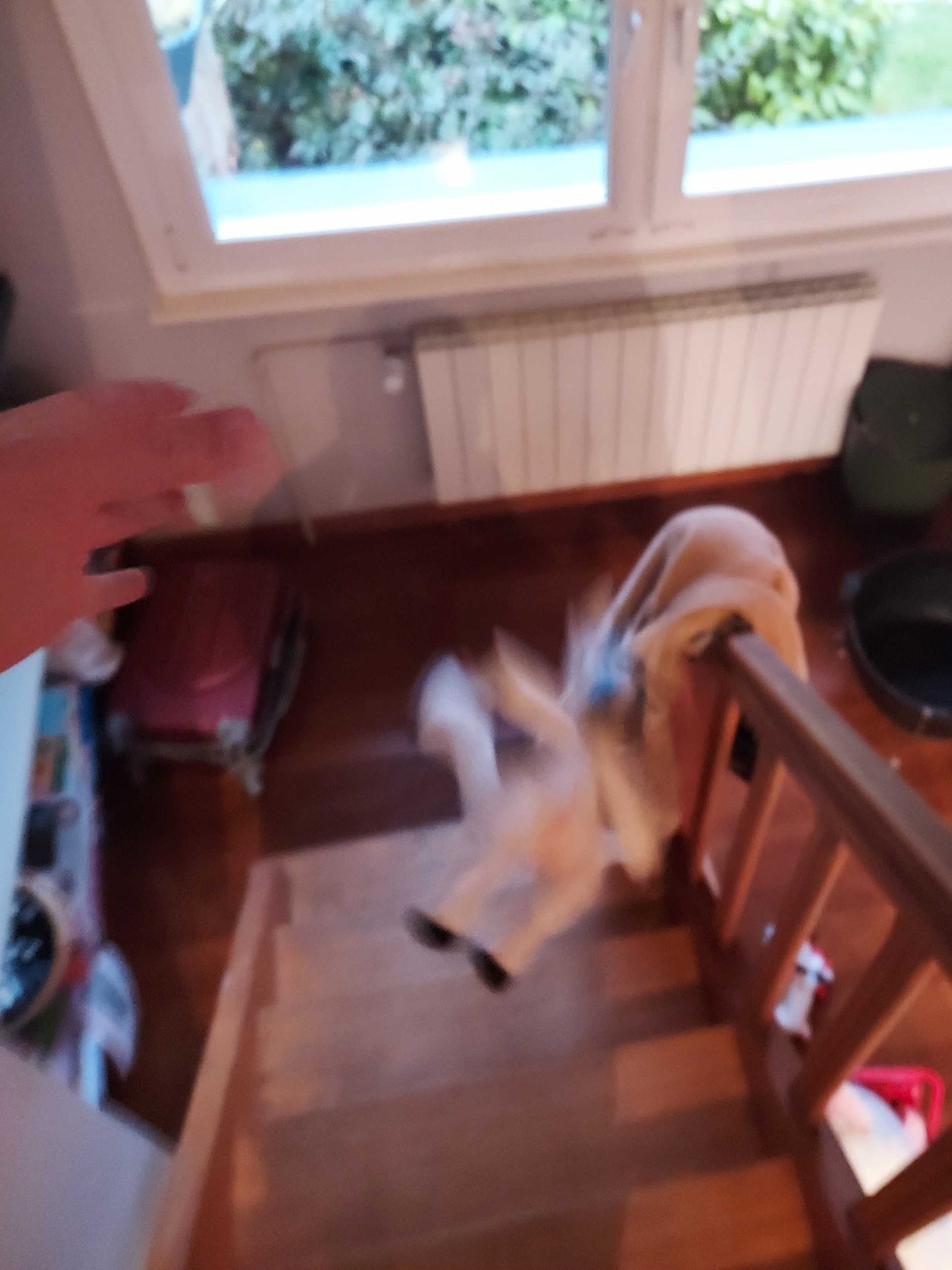 Peluche Martin le Fluffshie